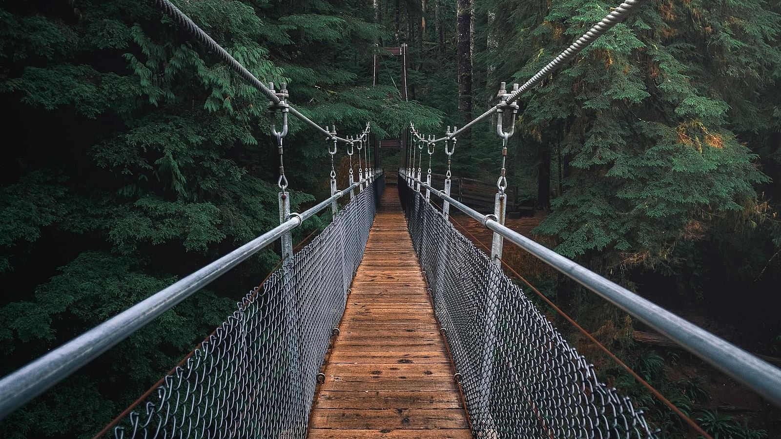 pexels-jake-pnw-1761279