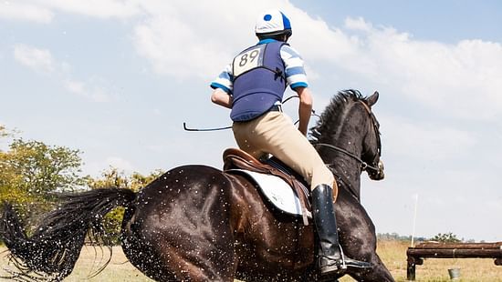 Person riding horse during a game a polo with blue sky in the background