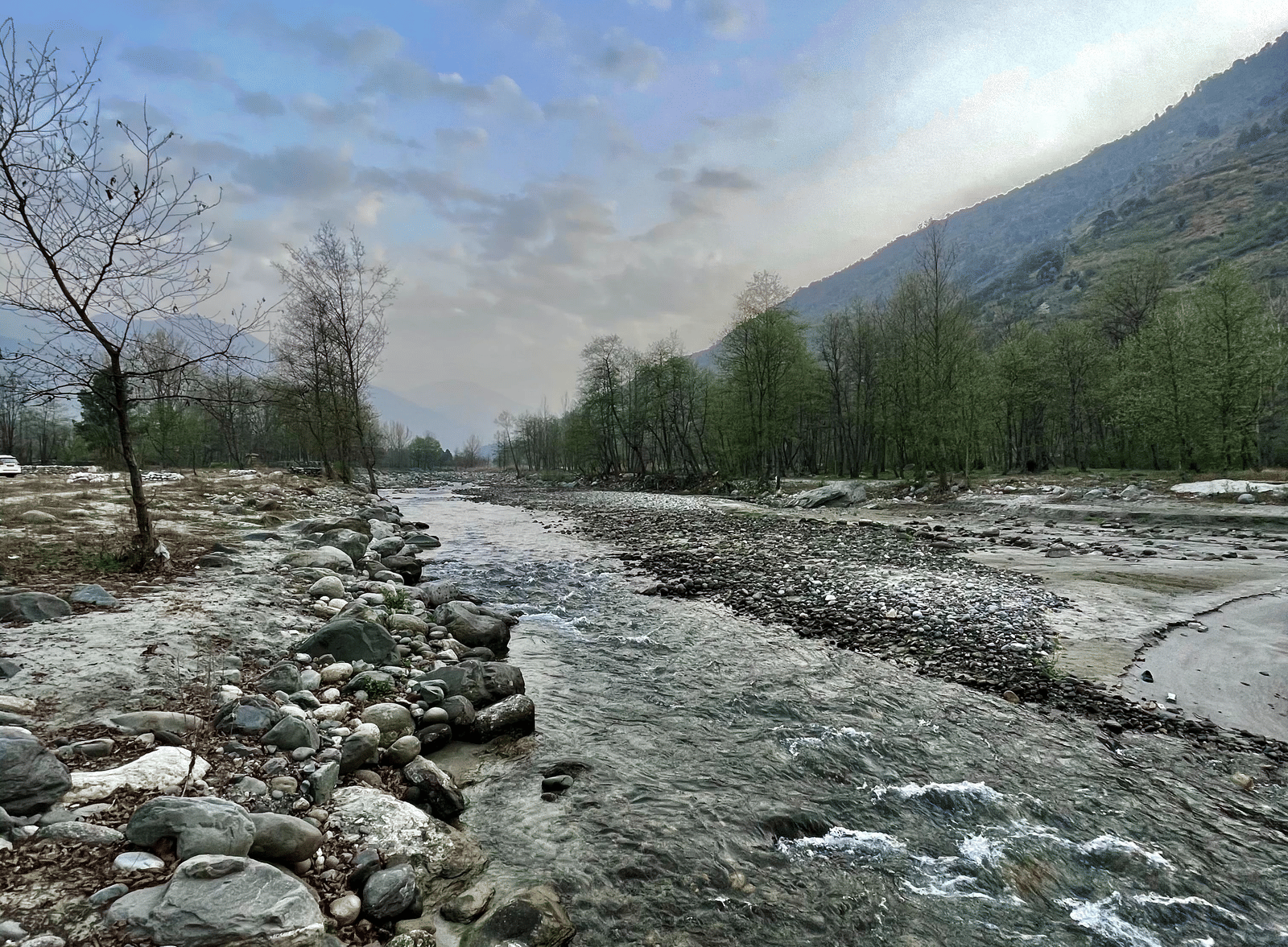 ashish-prashar-LV77-p4eyk4-unsplash