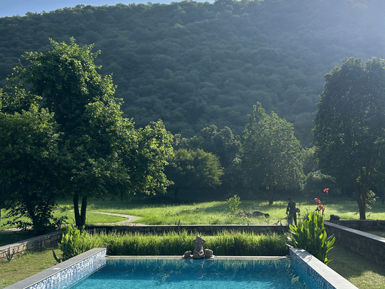 4-16-Pool - Evening Shot-7