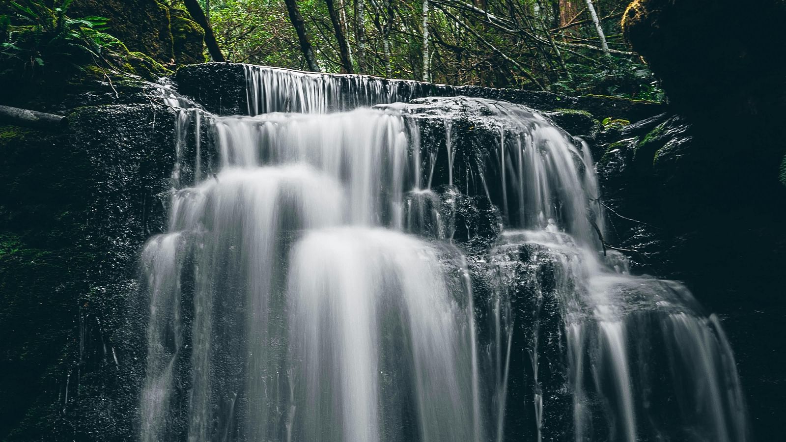 View of Corbett Waterfall with trees in the background.