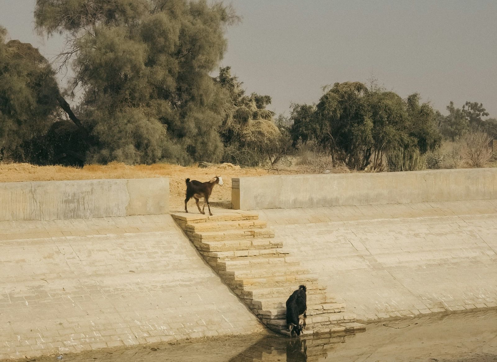 Sloped concrete embankment leading down to a stagnant pool of water, with a grassy bank above.