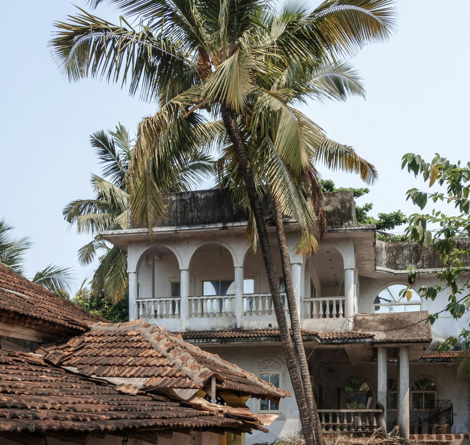 An exterior of a residence featuring a yellow-coloured gate along with a towering palm tree in front of it.