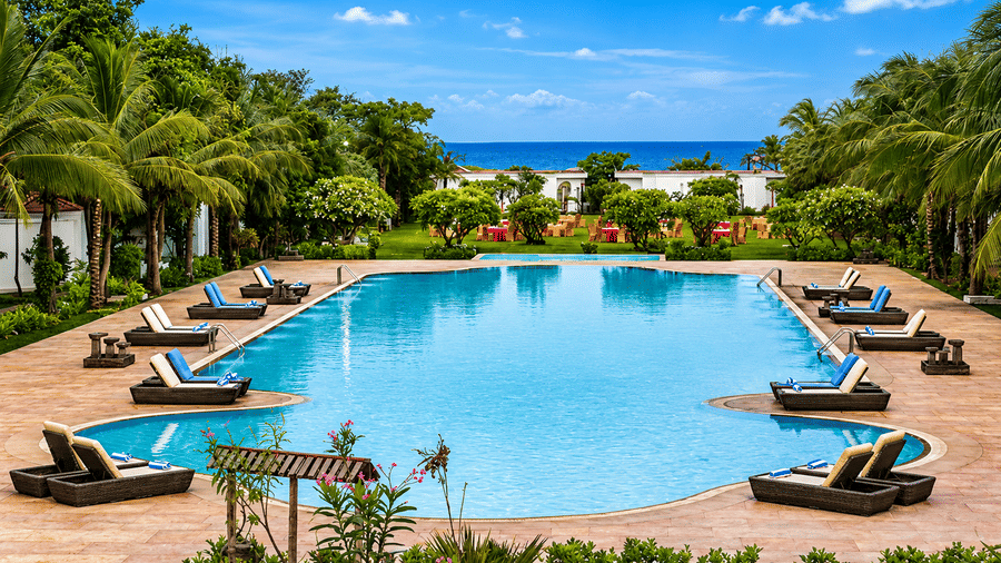 Swimming pool with lounge chairs, palm trees, and stunning ocean views at Chariot Beach Resort, offering a relaxing and scenic escape.