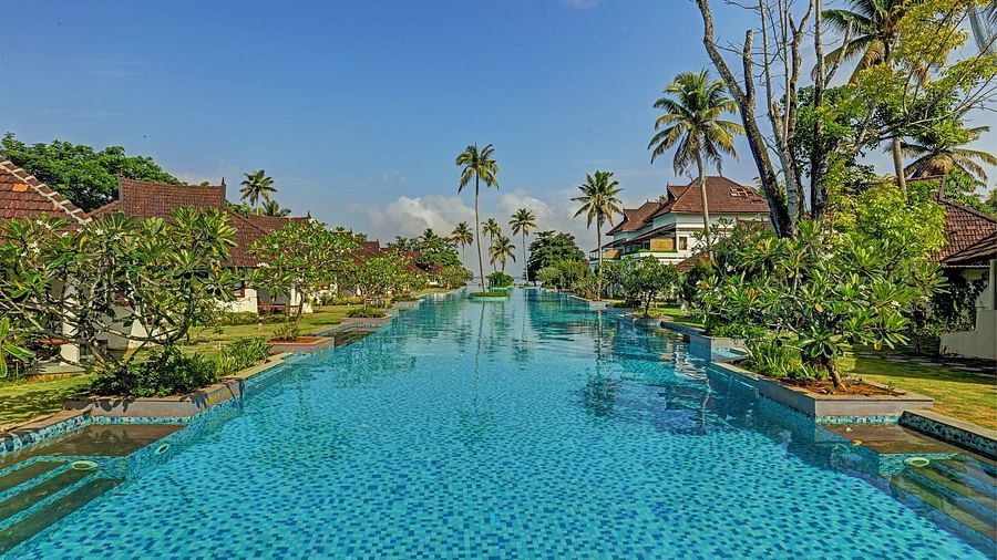Swimming pool surrounded by greenery - Rhythm Kumarakom