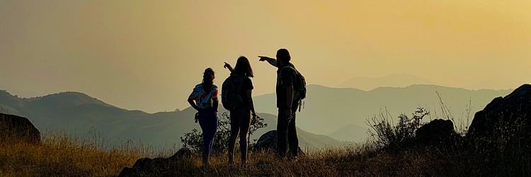 Book Resorts for Corporate Team Outing in Sakleshpur | Machaan