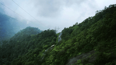 A view from atop a hill of a highway and many vehicles travelling on it covered by dense forest in Wayanad,