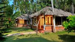 An overview of the rooms' facade next to many trees - Abad Harmonia, Kovalam