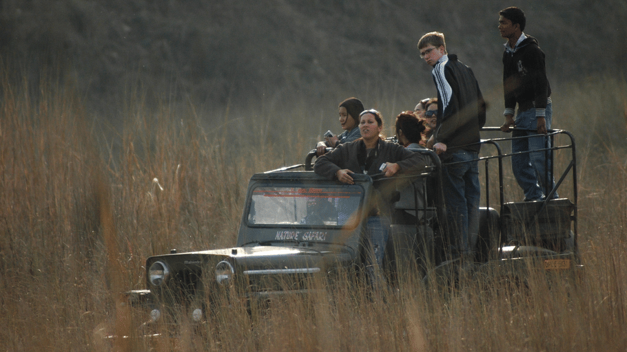 A group of tourists in an open safari jeep driving through tall golden grass on a wildlife tour.