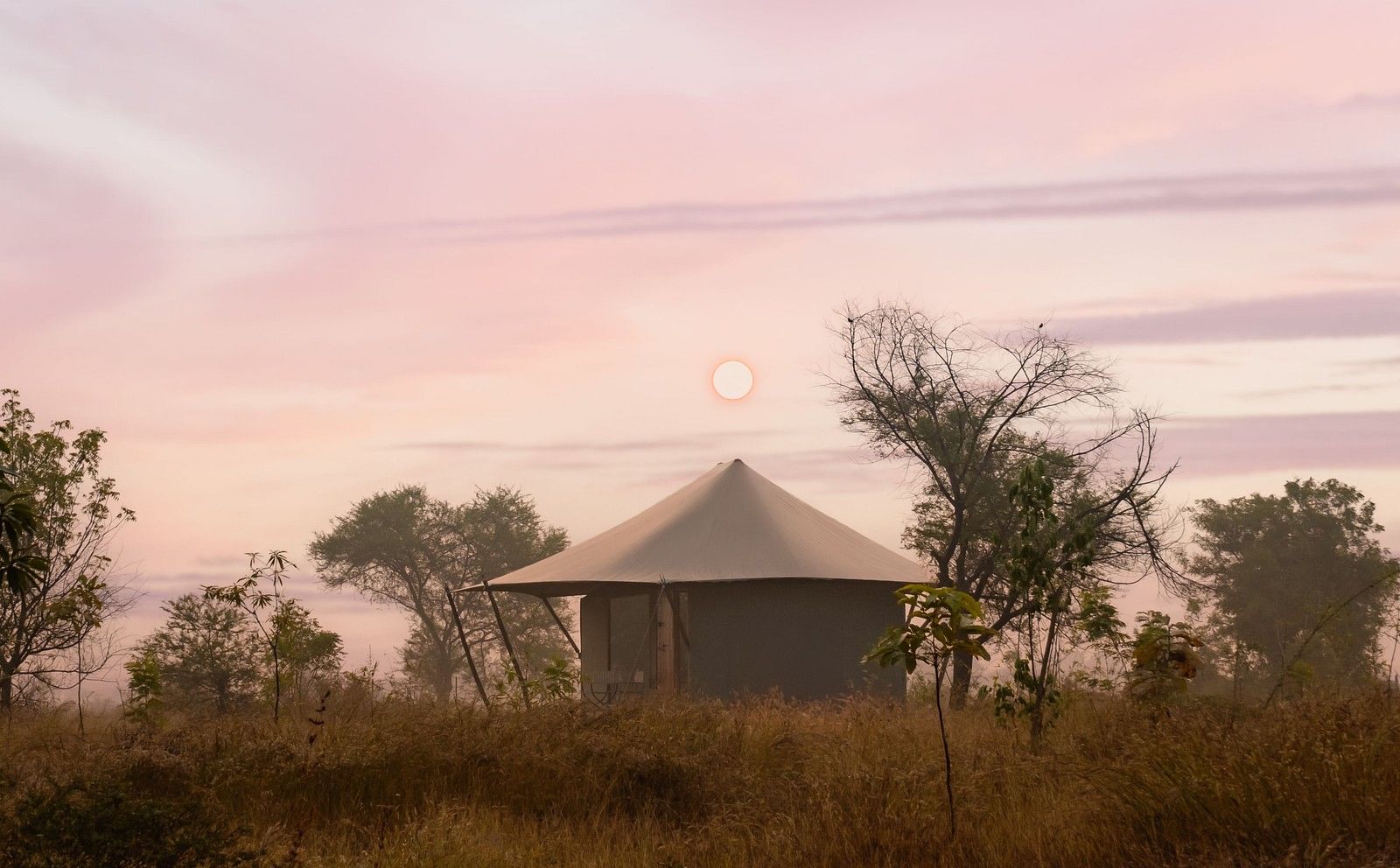 View of a hut during dusk amongst greenery at Trees N Tigers, Tadoba.
