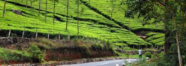 Significant-Tips-For-Planning-A-Road-Trip