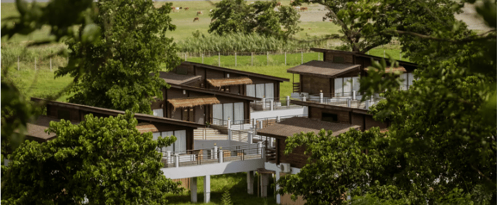 Modern wooden villas on stilts surrounded by lush greenery with a lake visible in the background.