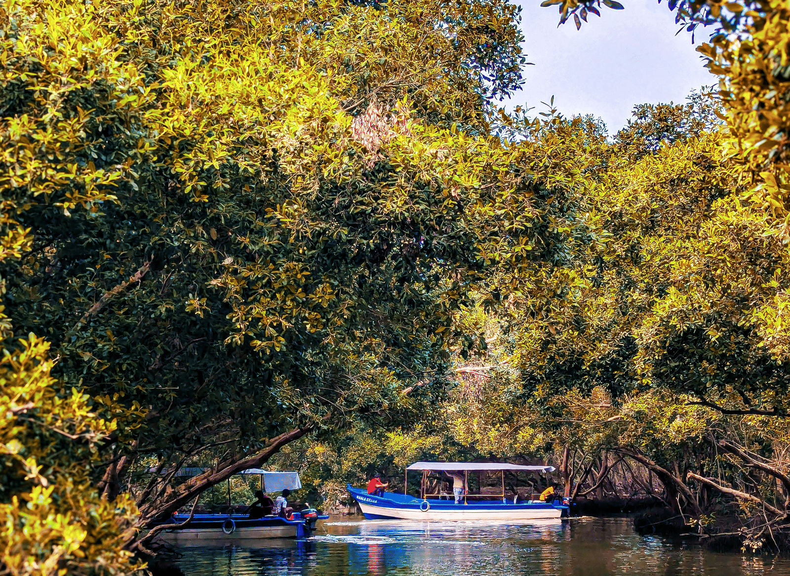 pexels-umarandrabi-30288086