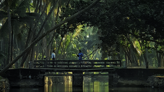 A stone bridge spanning across a river, calm water reflecting the surroundings, and tall forest trees are captured in a quiet setting.