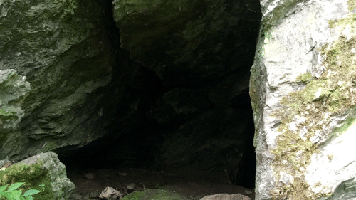 eco cave gardens heritage hotels of nainital. hotel in nainital