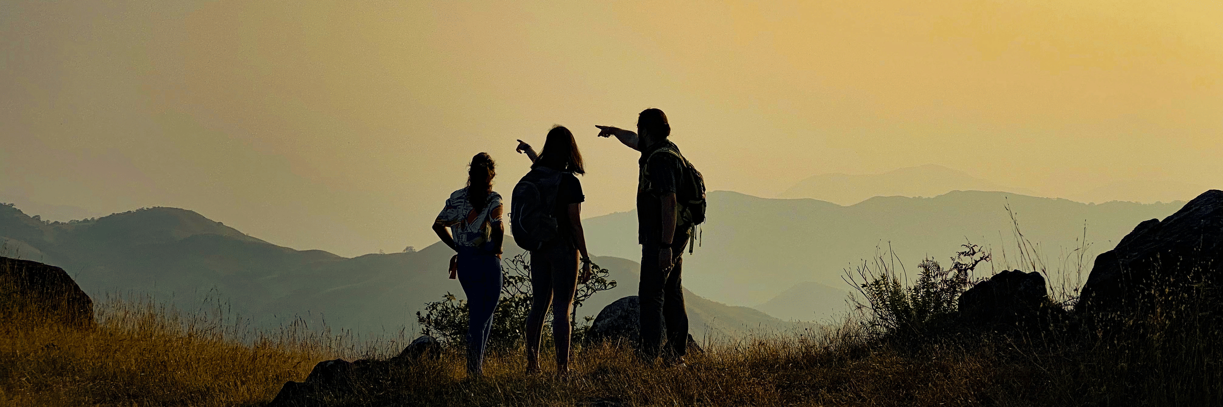 Machaan Plantation Resort Sakleshpur discover trek experience