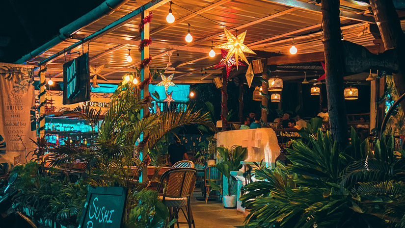 a quaint pub in Goa during night time surrounded by indoor plants and a board that displays the menu