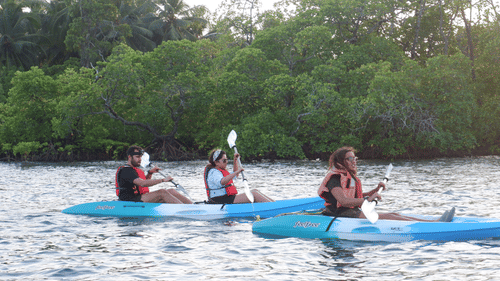 0000 0000 00000000(13)