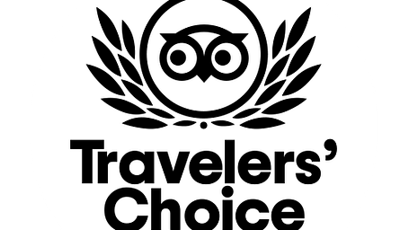 TC-Winner-2021