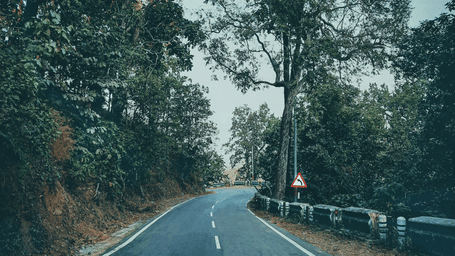 Smooth mountain road winding through a dense forest, with trees lining both sides