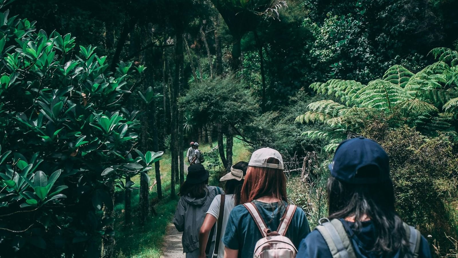 A group of trekkers walking along a narrow trail in the jungle.