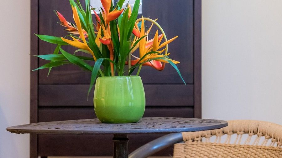 plant in a vase on a table