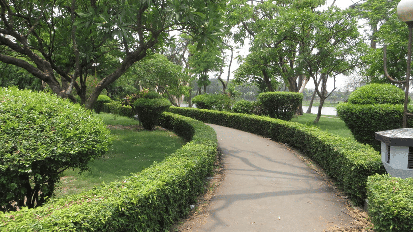 A winding pathway bordered by manicured hedges and trees, with a waterbody visible in the background at Central Park, Kolkata.