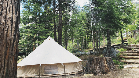 Exterior of a tent at Shaver Lake Village Hotel surrounded by trees.