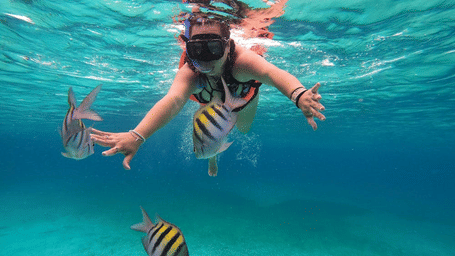A woman snorkeling underwater surrounded by tropical fish in the sea near Tamarind Hills Resort and Villas, Antigua