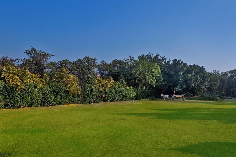 Horse-drawn carriage on a vast green lawn bordered by trees under a clear blue sky - Heritage Village Resorts & Spa.