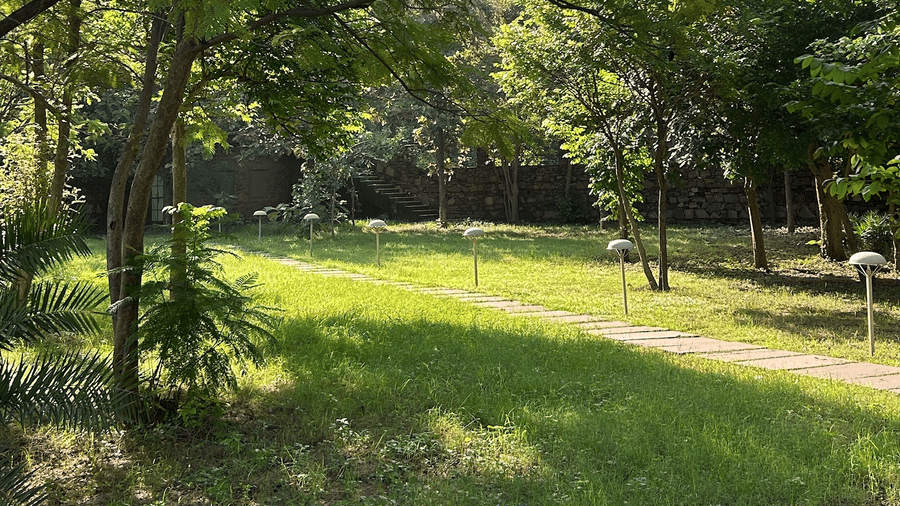 Outdoor Gardens at Surya Bagh-Winter Afternoon-1