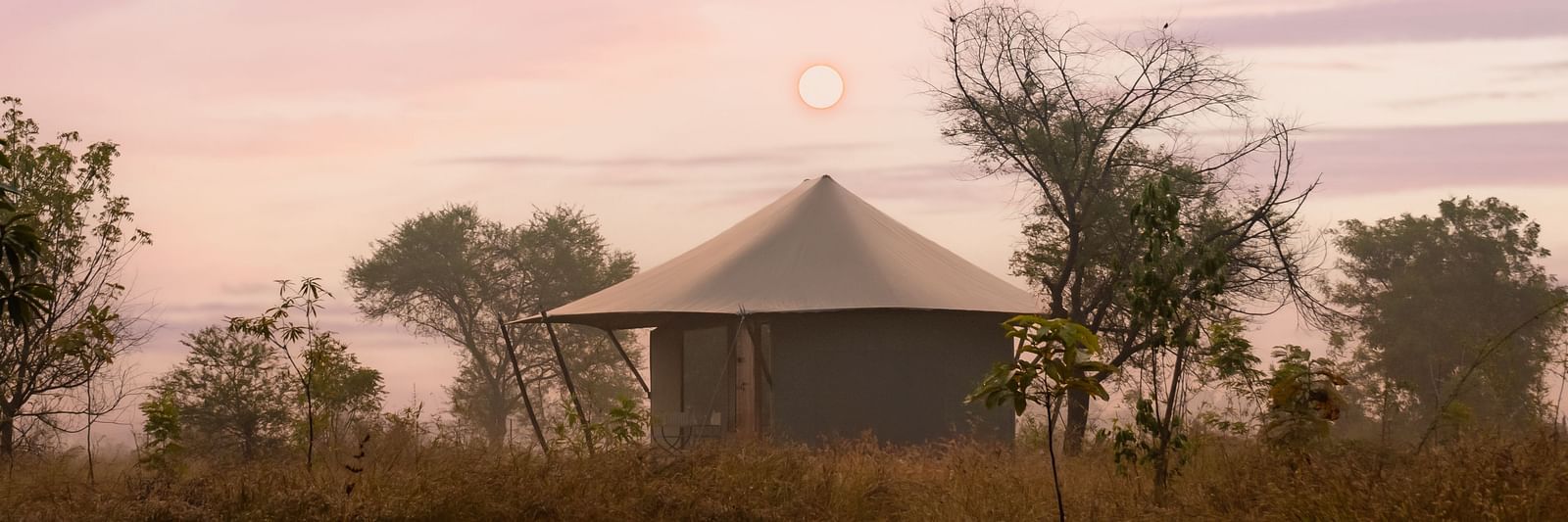 View of a hut during dusk amongst greenery at Trees N Tigers, Tadoba.