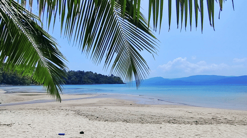 a beach on a bright sunny day with palm trees shadowing the camera