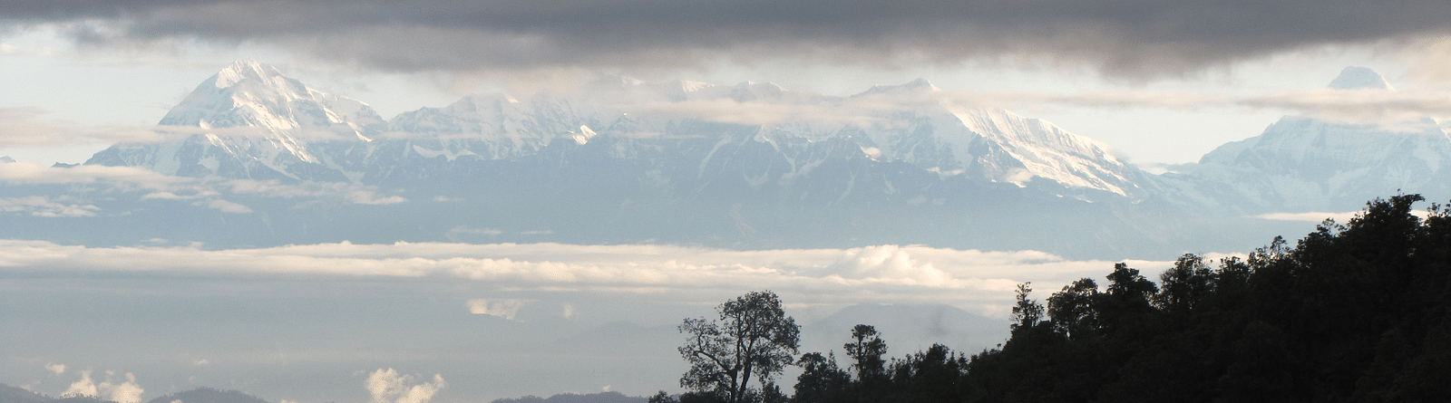 View of the mountains filled with trees near Te Aroha by Shervani Mukteshwar