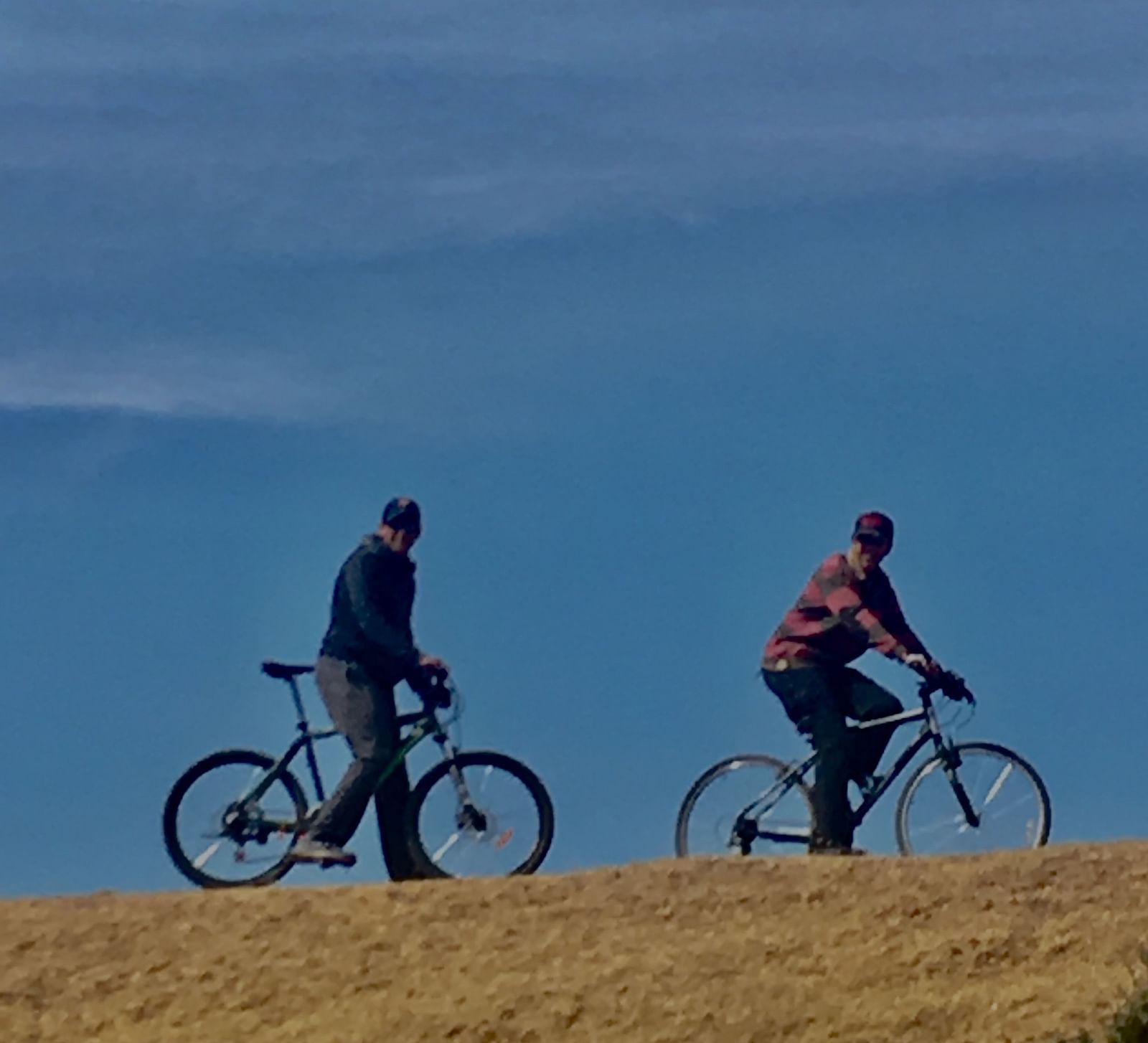 Two cyclists moving through a grassland on a clear blue day