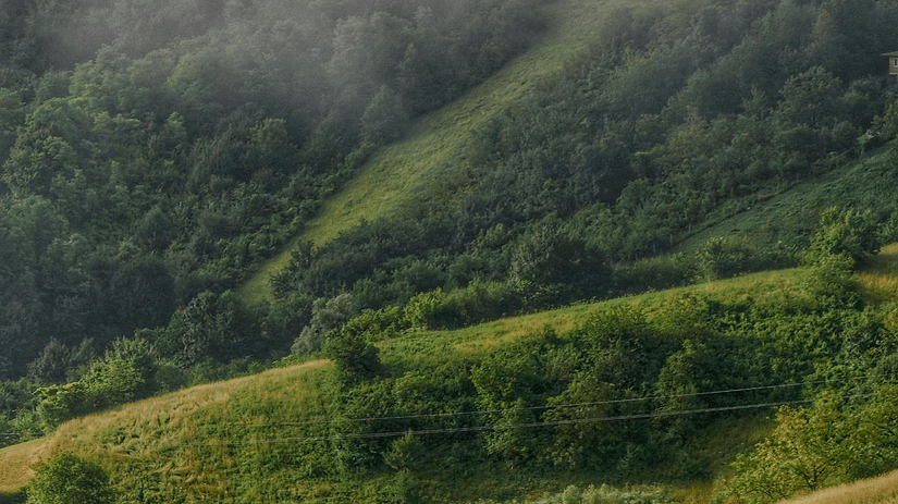 Hillside view with fog 