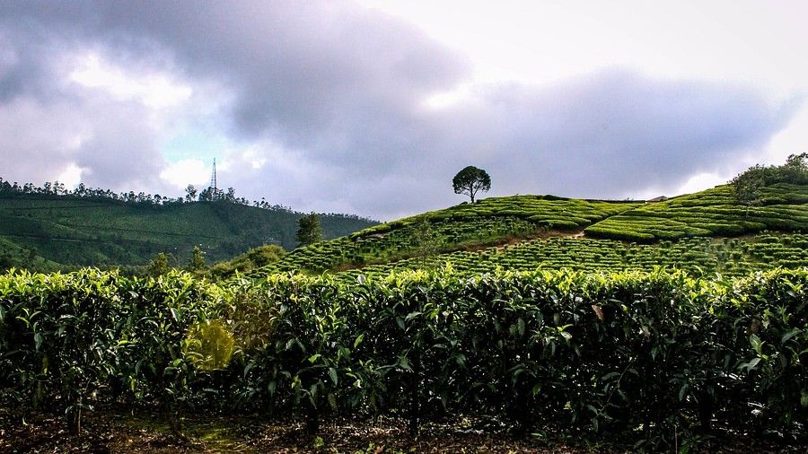 Top Places to visit in Kerala, Revisit Kerala, Sarovar Hotels