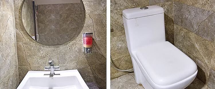 A collage of the washroom area at DLS Hotel Devlok, Manali with a vanity and a Western commode