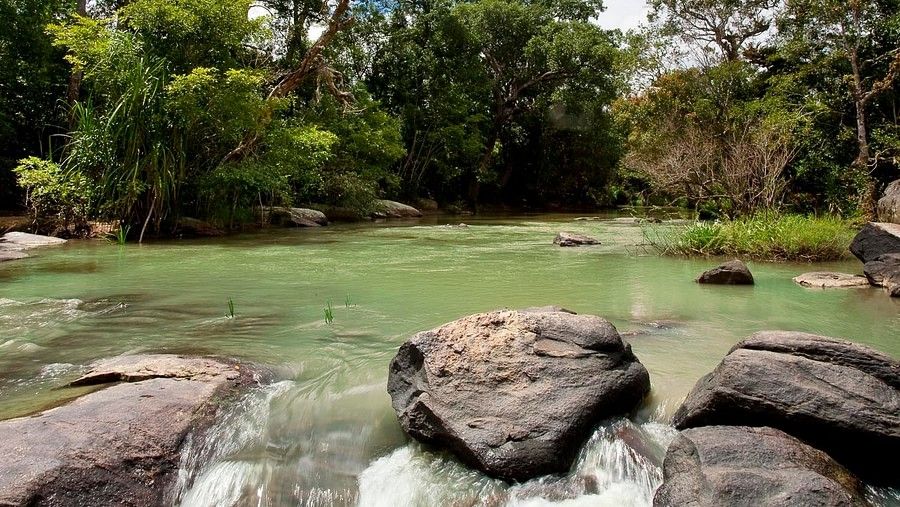 Private Bungalow, Amanvana Resort And Spa, Coorg Resort