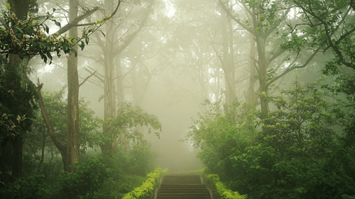 parks, a must visit place in Bangalore