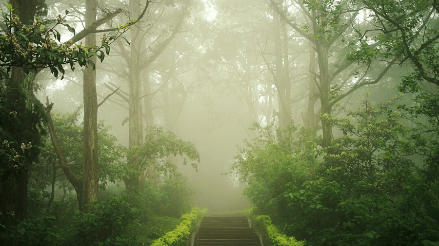 Nature wellness retreat