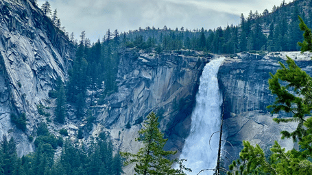 A distant view of the Nevada Falls, with foaming white waters flowing downstream at a high speed, surrounded by pine trees.
