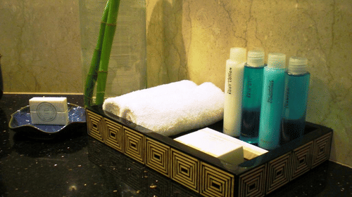 Hotel Ritz Plaza, Amritsar Amritsar TOILET Hotel Ritz Plaza Amritsar