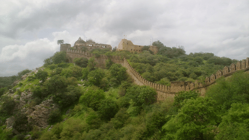 Bala Quila, the Alwar Fort, sits atop a hill covered in dense greenery under an overcast sky.