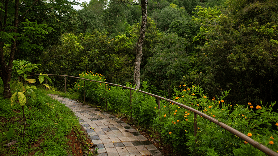 A stone pathway with a railing winds through lush greenery.- Abad Brookside Lakkidi, Wayanad