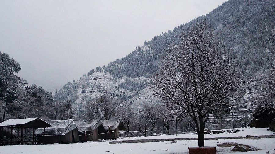 Let s Camp Tirthan Snow