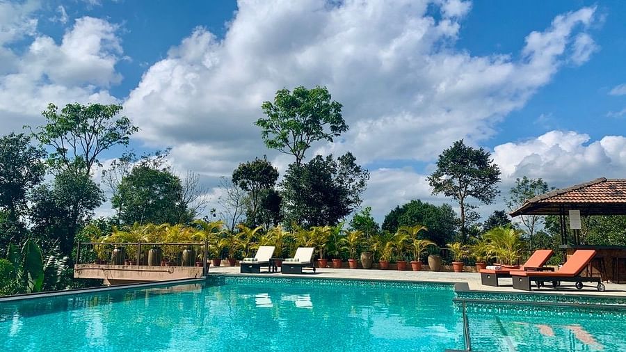 Machaan Sakleshpur Pool