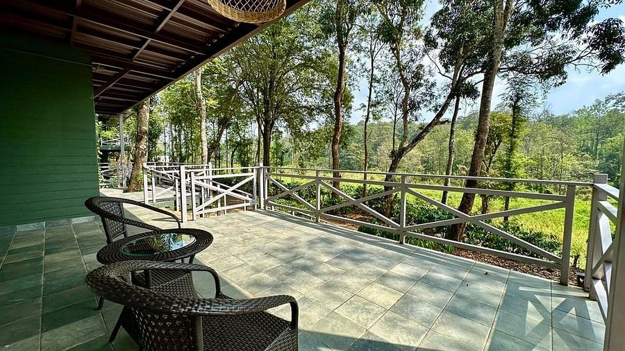Luxe Cabin - Tamarind Canopy Sit Out with a view