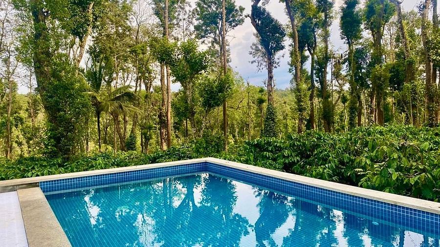 Pool at MWL with a view of the coffee estate 2