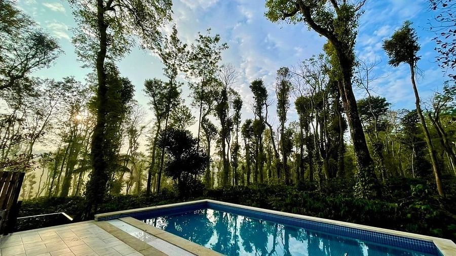 The Pool at the MWL Oasis Cove 4